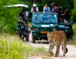 Jawai, Rajasthan